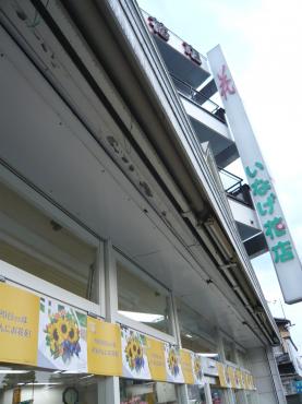 p1030471