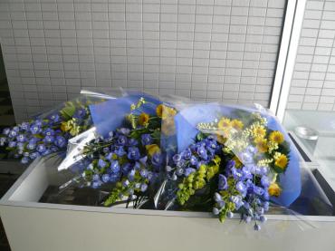 p1020896