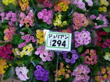 p1020926