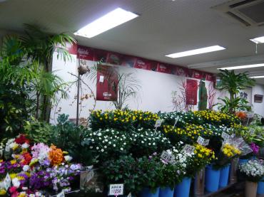 p1020976