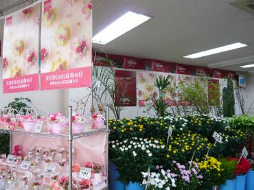 p1030331
