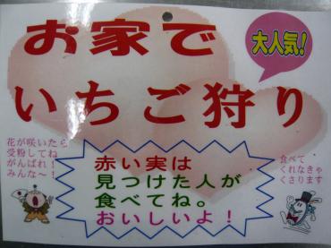 p1030339