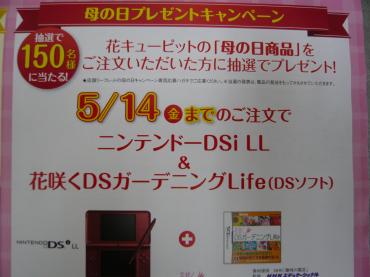 p1030362
