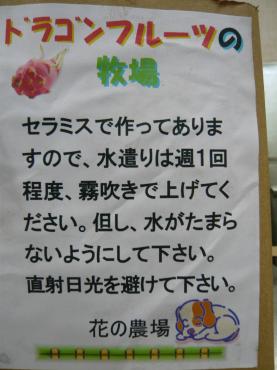 p1030373