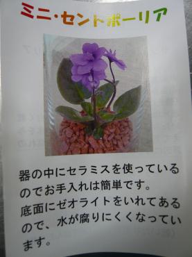 p1030568