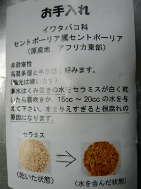 p1030570