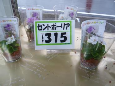 p1030571