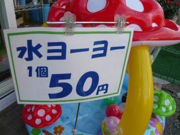 p1030728
