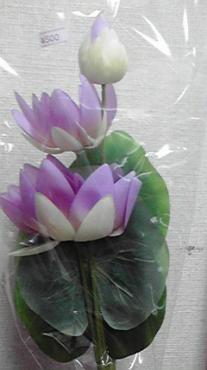 2010080218420001