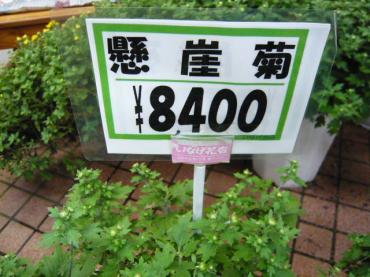 p1030999