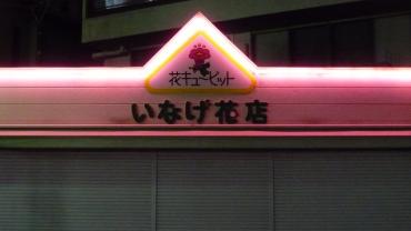p1040007