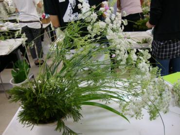 dsc00516