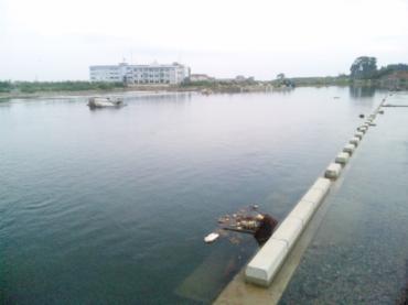 110806_183942-370x277