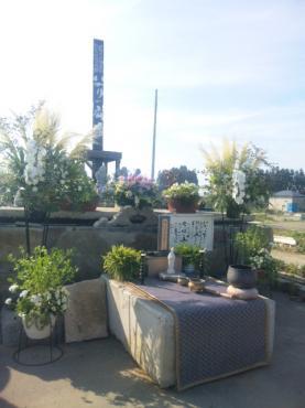 110809_0730221-277x3701