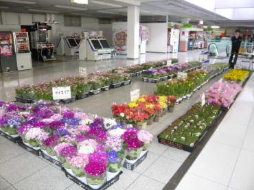 p1070580