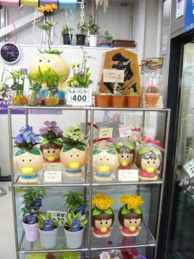 はなかっぱ鉢 ももかっぱちゃん鉢 | 花屋ブログ | 山形県上山市の花屋