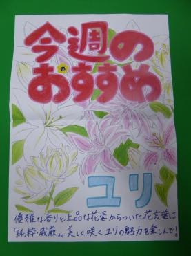 p10206301