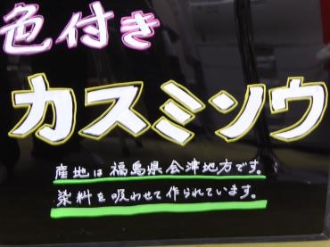 p1020642