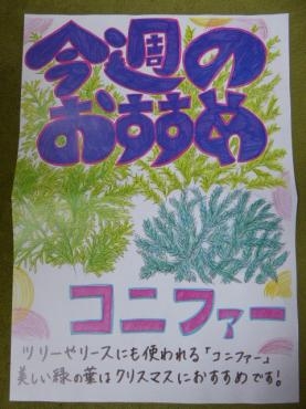 p1030144