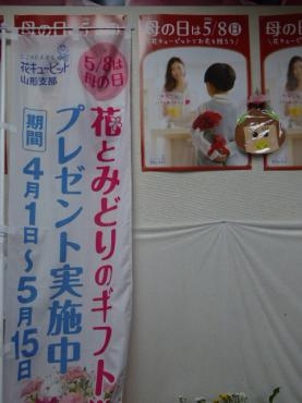 p1030708