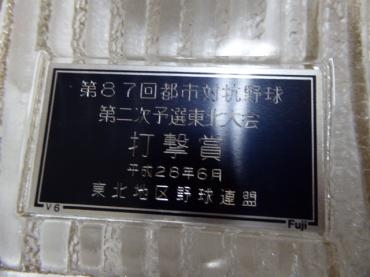 p1040241