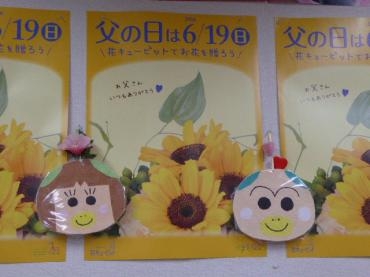 p1040252