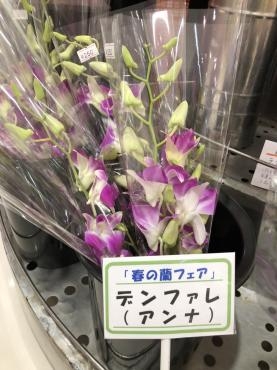 s__127057930