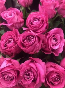 オール4ラブ という名前の薔薇 花屋ブログ 山形県上山市の花屋 いなげ花店にフラワーギフトはお任せください 当店は 安心と信頼の花キューピット加盟店です 花キューピットタウン オール4ラブ という名前の薔薇 花屋ブログ 山形県上山市の花屋 いなげ花店にフラワーギフトはお任せください 当店は 安心と信頼の花キューピット加盟店です 花キューピットタウン
