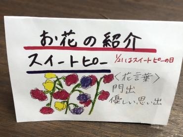 s__232439813