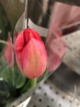 s__233193478