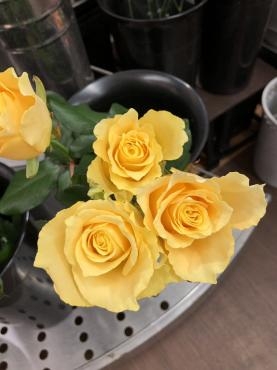 s__190922767