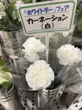 s__235339786