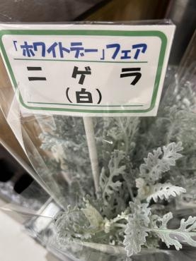 s__235339788