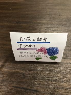 s__198361096