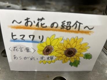 s__241205254