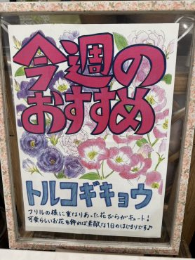 今週のおすすめ weekly Flower 421｜「いなげ花店」　（山形県上山市の花キューピット加盟店 花屋）のブログ