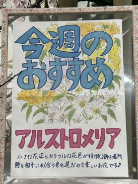 今週のおすすめ weekly Flower 423｜「いなげ花店」　（山形県上山市の花キューピット加盟店 花屋）のブログ