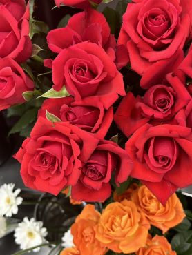 【レッドスター】という名前の薔薇｜「いなげ花店」　（山形県上山市の花キューピット加盟店 花屋）のブログ
