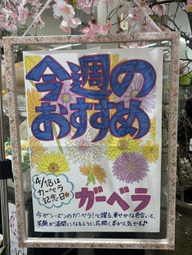 今週のおすすめ　weekly Flower 427(あと4回）|「いなげ花店」　（山形県上山市の花屋）のブログ