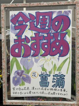 今週のおすすめ　weekly Flower428(最終回）｜「いなげ花店」　（山形県上山市の花キューピット加盟店 花屋）のブログ