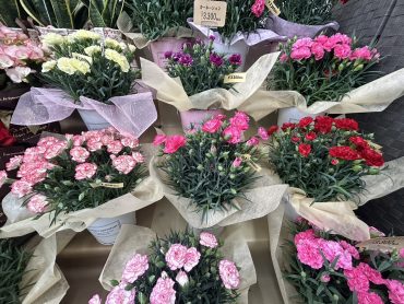 色とりどり｜「いなげ花店」　（山形県上山市の花キューピット加盟店 花屋）のブログ