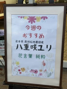 今週のおすすめ　weekly Flower 445｜「いなげ花店」　（山形県上山市の花キューピット加盟店 花屋）のブログ