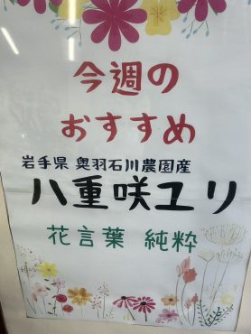 今週のおすすめ　weekly Flower 446｜「いなげ花店」　（山形県上山市の花キューピット加盟店 花屋）のブログ