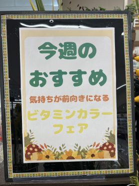 今週のおすすめ　weekly Flower 447｜「いなげ花店」　（山形県上山市の花キューピット加盟店 花屋）のブログ