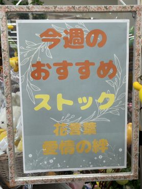 今週のおすすめ　weekly Flower 451｜「いなげ花店」　（山形県上山市の花キューピット加盟店 花屋）のブログ