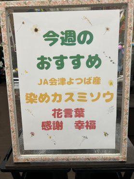 今週のおすすめ　weekly Flower 452｜「いなげ花店」　（山形県上山市の花キューピット加盟店 花屋）のブログ