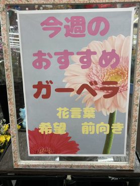 今週のおすすめ　weekly Flower 453｜「いなげ花店」　（山形県上山市の花キューピット加盟店 花屋）のブログ