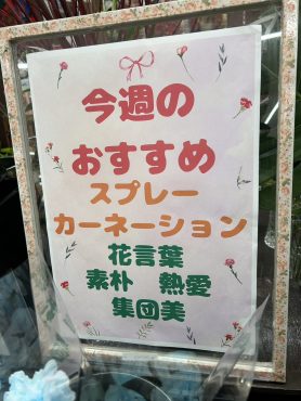 今週のおすすめ　weekly Flower 454|「いなげ花店」　（山形県上山市の花屋）のブログ