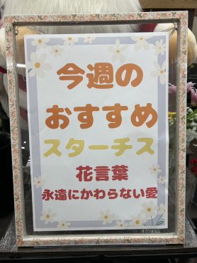 今週のおすすめ　weekly Flower 455｜「いなげ花店」　（山形県上山市の花キューピット加盟店 花屋）のブログ