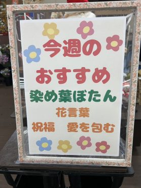 今週のおすすめ　weekly Flower 456｜「いなげ花店」　（山形県上山市の花キューピット加盟店 花屋）のブログ